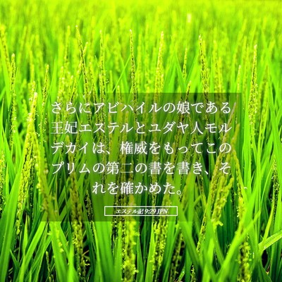 Picture 05 - エステル記 9:29 JPN - さらにアビハイルの娘である王妃エ - Bible Verse Picture