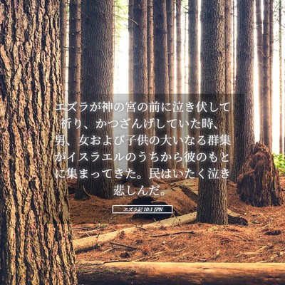 Picture 05 - エズラ記 10:1 JPN - エズラが神の宮の前に泣き伏して祈 - Bible Verse Picture