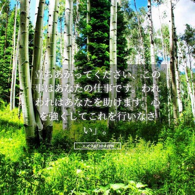 Picture 05 - エズラ記 10:4 JPN - 立ちあがってください、この事はあ - Bible Verse Picture