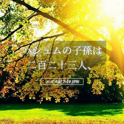 Picture 05 - エズラ記 2:19 JPN - ハシュムの子孫は二百二十三人、 - Bible Verse Picture
