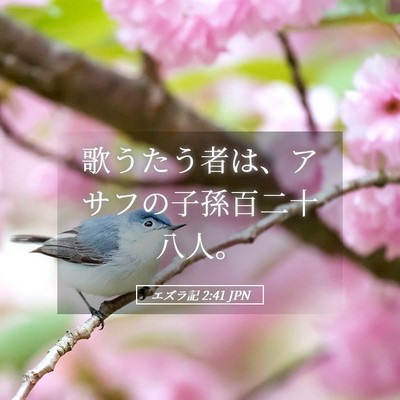 Picture 05 - エズラ記 2:41 JPN - 歌うたう者は、アサフの子孫百二十 - Bible Verse Picture
