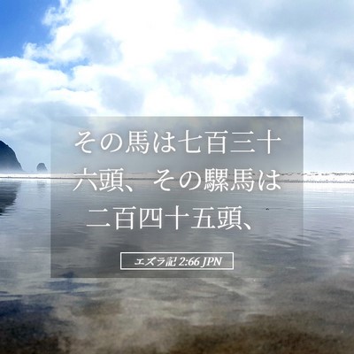 Picture 05 - エズラ記 2:66 JPN - その馬は七百三十六頭、その騾馬は - Bible Verse Picture