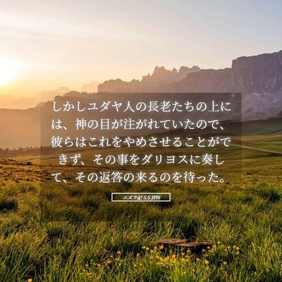Picture 05 - エズラ記 5:5 JPN - しかしユダヤ人の長老たちの上には - Bible Verse Picture