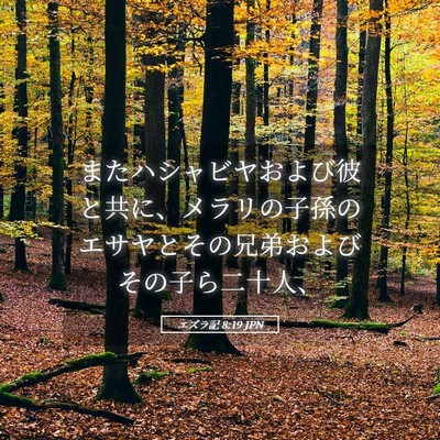 Picture 05 - エズラ記 8:19 JPN - またハシャビヤおよび彼と共に、メ - Bible Verse Picture