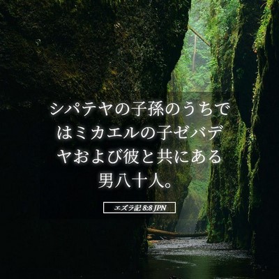 Picture 05 - エズラ記 8:8 JPN - シパテヤの子孫のうちではミカエル - Bible Verse Picture