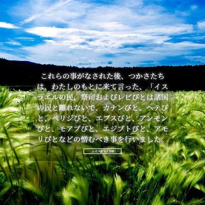 Picture 05 - エズラ記 9:1 JPN - これらの事がなされた後、つかさた - Bible Verse Picture