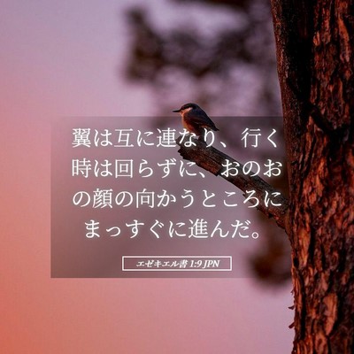 Picture 05 - エゼキエル書 1:9 JPN - 翼は互に連なり、行く時は回らずに - Bible Verse Picture
