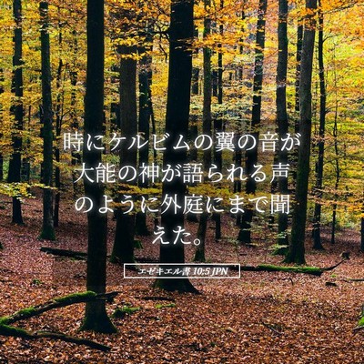 Picture 05 - エゼキエル書 10:5 JPN - 時にケルビムの翼の音が大能の神が - Bible Verse Picture