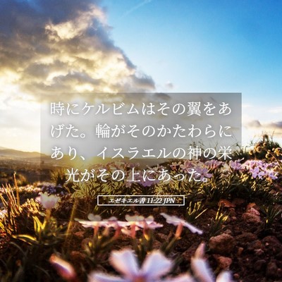 Picture 05 - エゼキエル書 11:22 JPN - 時にケルビムはその翼をあげた。輪 - Bible Verse Picture
