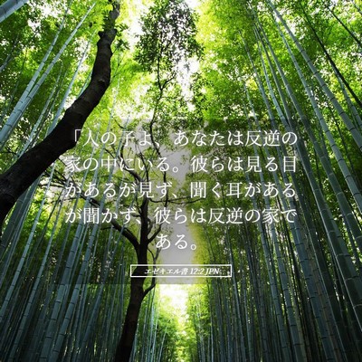 Picture 05 - エゼキエル書 12:2 JPN - 「人の子よ、あなたは反逆の家の中 - Bible Verse Picture