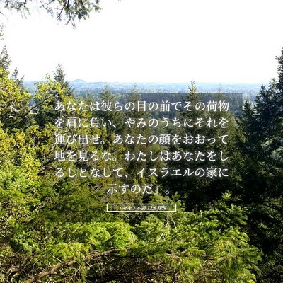 Picture 05 - エゼキエル書 12:6 JPN - あなたは彼らの目の前でその荷物を - Bible Verse Picture