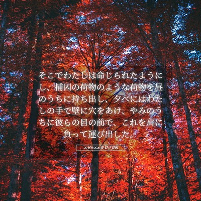 Picture 05 - エゼキエル書 12:7 JPN - そこでわたしは命じられたようにし - Bible Verse Picture