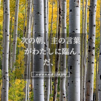 Picture 05 - エゼキエル書 12:8 JPN - 次の朝、主の言葉がわたしに臨んだ - Bible Verse Picture