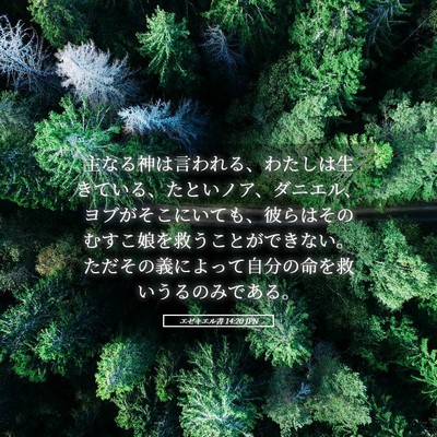 Picture 05 - エゼキエル書 14:20 JPN - 主なる神は言われる、わたしは生き - Bible Verse Picture