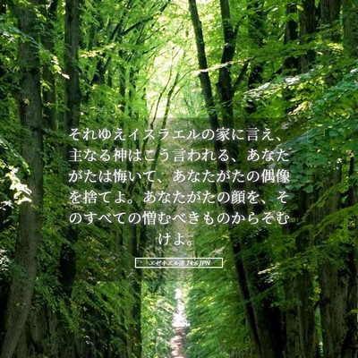 Picture 05 - エゼキエル書 14:6 JPN - それゆえイスラエルの家に言え、主 - Bible Verse Picture
