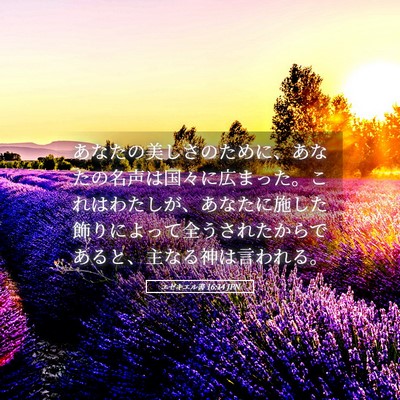 Picture 05 - エゼキエル書 16:14 JPN - あなたの美しさのために、あなたの - Bible Verse Picture