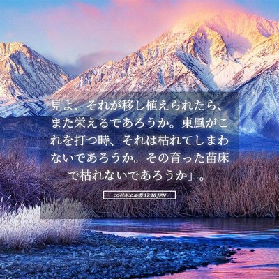 Picture 05 - エゼキエル書 17:10 JPN - 見よ、それが移し植えられたら、ま - Bible Verse Picture