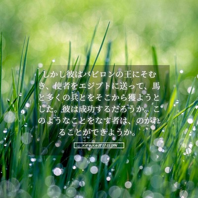 Picture 05 - エゼキエル書 17:15 JPN - しかし彼はバビロンの王にそむき、 - Bible Verse Picture