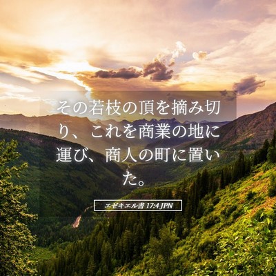 Picture 05 - エゼキエル書 17:4 JPN - その若枝の頂を摘み切り、これを商 - Bible Verse Picture