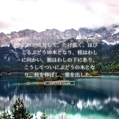 Picture 05 - エゼキエル書 17:6 JPN - これが成長して、たけ低く、はびこ - Bible Verse Picture