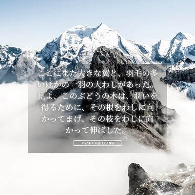 Picture 05 - エゼキエル書 17:7 JPN - ここにまた大きな翼と、羽毛の多い - Bible Verse Picture