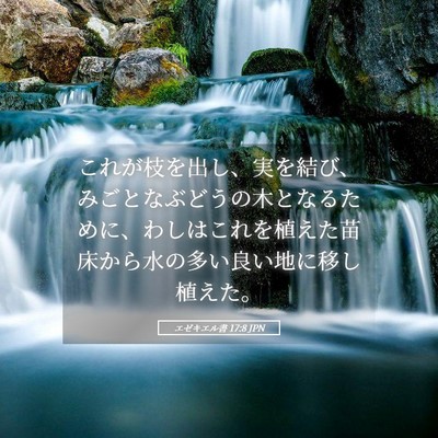 Picture 05 - エゼキエル書 17:8 JPN - これが枝を出し、実を結び、みごと - Bible Verse Picture