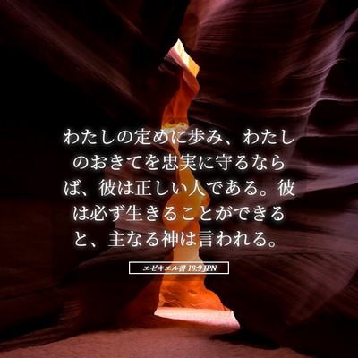 Picture 05 - エゼキエル書 18:9 JPN - わたしの定めに歩み、わたしのおき - Bible Verse Picture