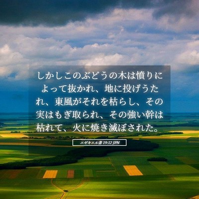 Picture 05 - エゼキエル書 19:12 JPN - しかしこのぶどうの木は憤りによっ - Bible Verse Picture