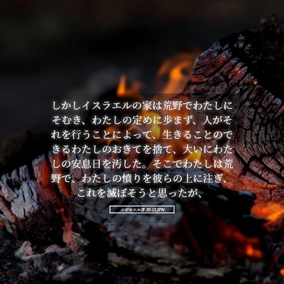 Picture 05 - エゼキエル書 20:13 JPN - しかしイスラエルの家は荒野でわた - Bible Verse Picture