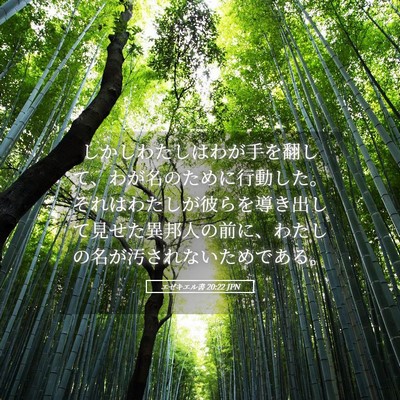Picture 05 - エゼキエル書 20:22 JPN - しかしわたしはわが手を翻して、わ - Bible Verse Picture