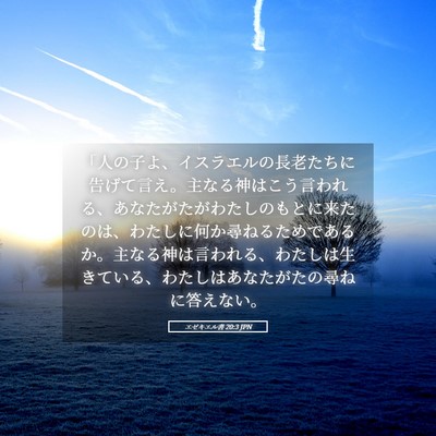 Picture 05 - エゼキエル書 20:3 JPN - 「人の子よ、イスラエルの長老たち - Bible Verse Picture