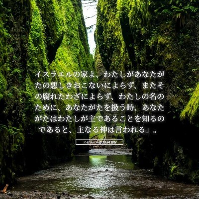 Picture 05 - エゼキエル書 20:44 JPN - イスラエルの家よ、わたしがあなた - Bible Verse Picture