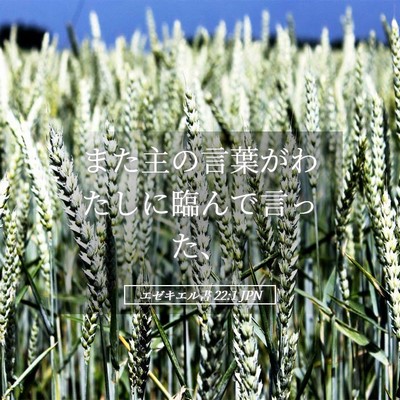 Picture 05 - エゼキエル書 22:1 JPN - また主の言葉がわたしに臨んで言っ - Bible Verse Picture