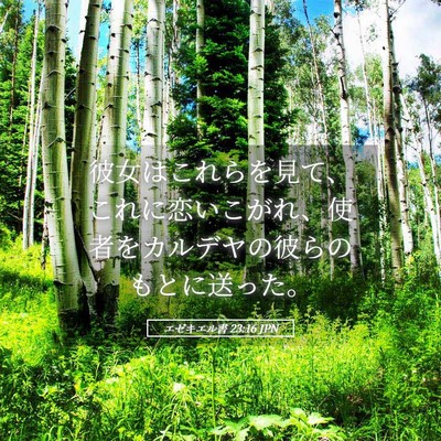 Picture 05 - エゼキエル書 23:16 JPN - 彼女はこれらを見て、これに恋いこ - Bible Verse Picture