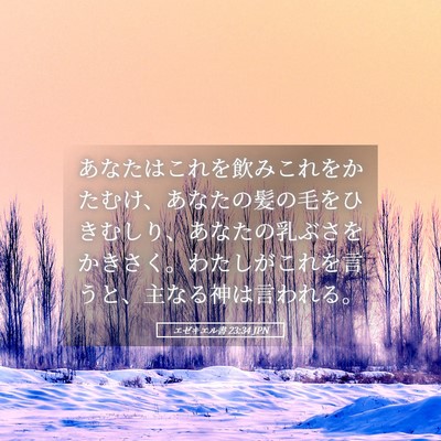 Picture 05 - エゼキエル書 23:34 JPN - あなたはこれを飲みこれをかたむけ - Bible Verse Picture