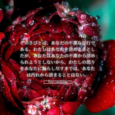 Picture 05 - エゼキエル書 24:13 JPN - そのさびとは、あなたの不潔な淫行 - Bible Verse Picture