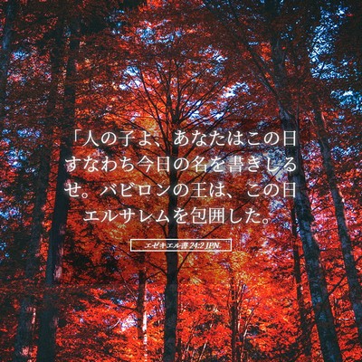 Picture 05 - エゼキエル書 24:2 JPN - 「人の子よ、あなたはこの日すなわ - Bible Verse Picture