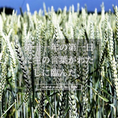 Picture 05 - エゼキエル書 26:1 JPN - 第十一年の第一日に主の言葉がわた - Bible Verse Picture