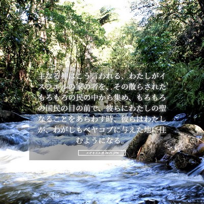 Picture 05 - エゼキエル書 28:25 JPN - 主なる神はこう言われる、わたしが - Bible Verse Picture
