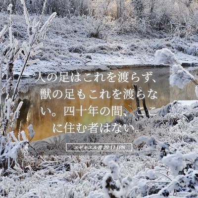 Picture 05 - エゼキエル書 29:11 JPN - 人の足はこれを渡らず、獣の足もこ - Bible Verse Picture