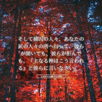 Picture 05 - エゼキエル書 3:11 JPN - そして捕囚の人々、あなたの民の人 - Bible Verse Picture