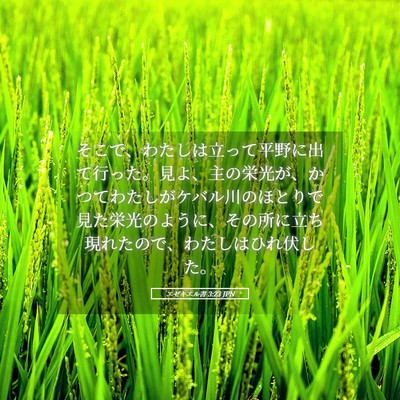 Picture 05 - エゼキエル書 3:23 JPN - そこで、わたしは立って平野に出て - Bible Verse Picture