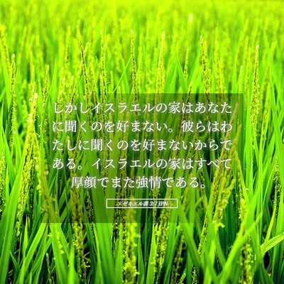 Picture 05 - エゼキエル書 3:7 JPN - しかしイスラエルの家はあなたに聞 - Bible Verse Picture