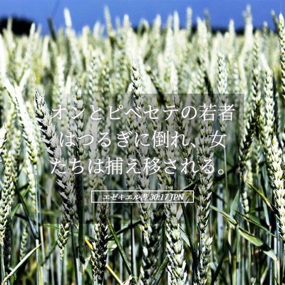 Picture 05 - エゼキエル書 30:17 JPN - オンとピベセテの若者はつるぎに倒 - Bible Verse Picture