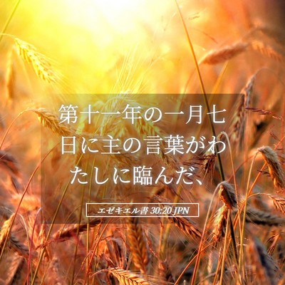 Picture 05 - エゼキエル書 30:20 JPN - 第十一年の一月七日に主の言葉がわ - Bible Verse Picture