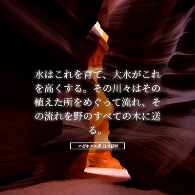 Picture 05 - エゼキエル書 31:4 JPN - 水はこれを育て、大水がこれを高く - Bible Verse Picture