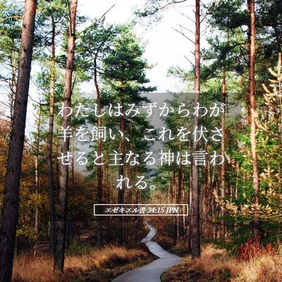 Picture 05 - エゼキエル書 34:15 JPN - わたしはみずからわが羊を飼い、こ - Bible Verse Picture