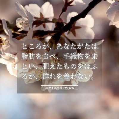 Picture 05 - エゼキエル書 34:3 JPN - ところが、あなたがたは脂肪を食べ - Bible Verse Picture