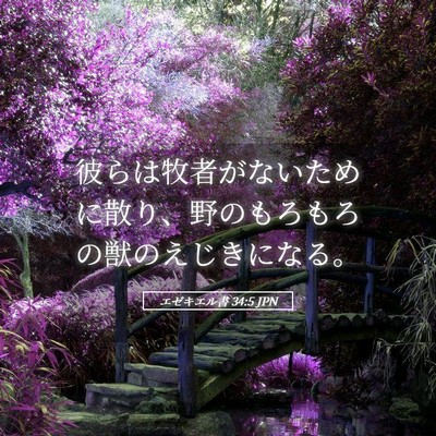 Picture 05 - エゼキエル書 34:5 JPN - 彼らは牧者がないために散り、野の - Bible Verse Picture
