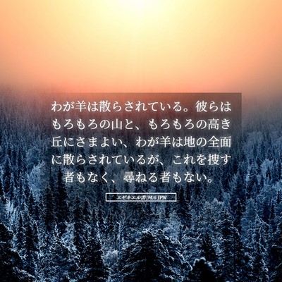 Picture 05 - エゼキエル書 34:6 JPN - わが羊は散らされている。彼らはも - Bible Verse Picture